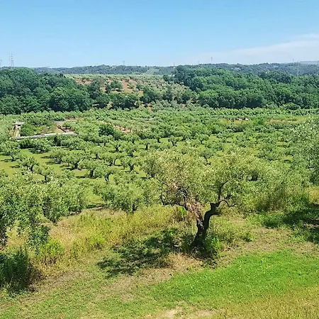 Private Villa On 8 Hectares - 20 Minutes From The Sea - Free Parking