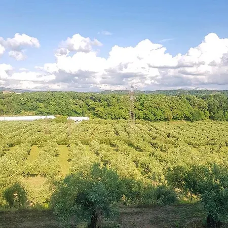 In 8 Ettari Di Campagna, A 20' Dal Mare Holiday home Casa Piccirillo