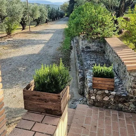 In 8 Ettari Di Campagna, A 20' Dal Mare * Casa Piccirillo