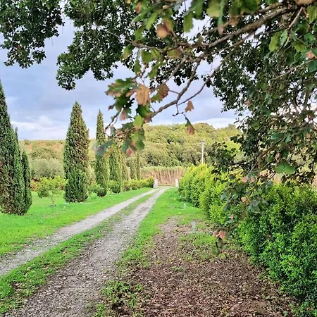 In 8 Ettari Di Campagna, A 20' Dal Mare Holiday home