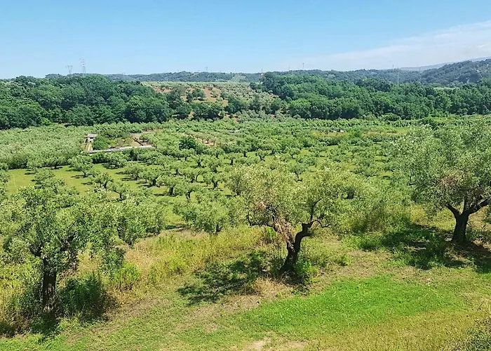 In 8 Ettari Di Campagna, A 20' Dal Mare