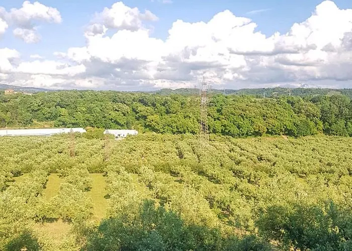 In 8 Ettari Di Campagna, A 20' Dal Mare בית נופש Casa Piccirillo